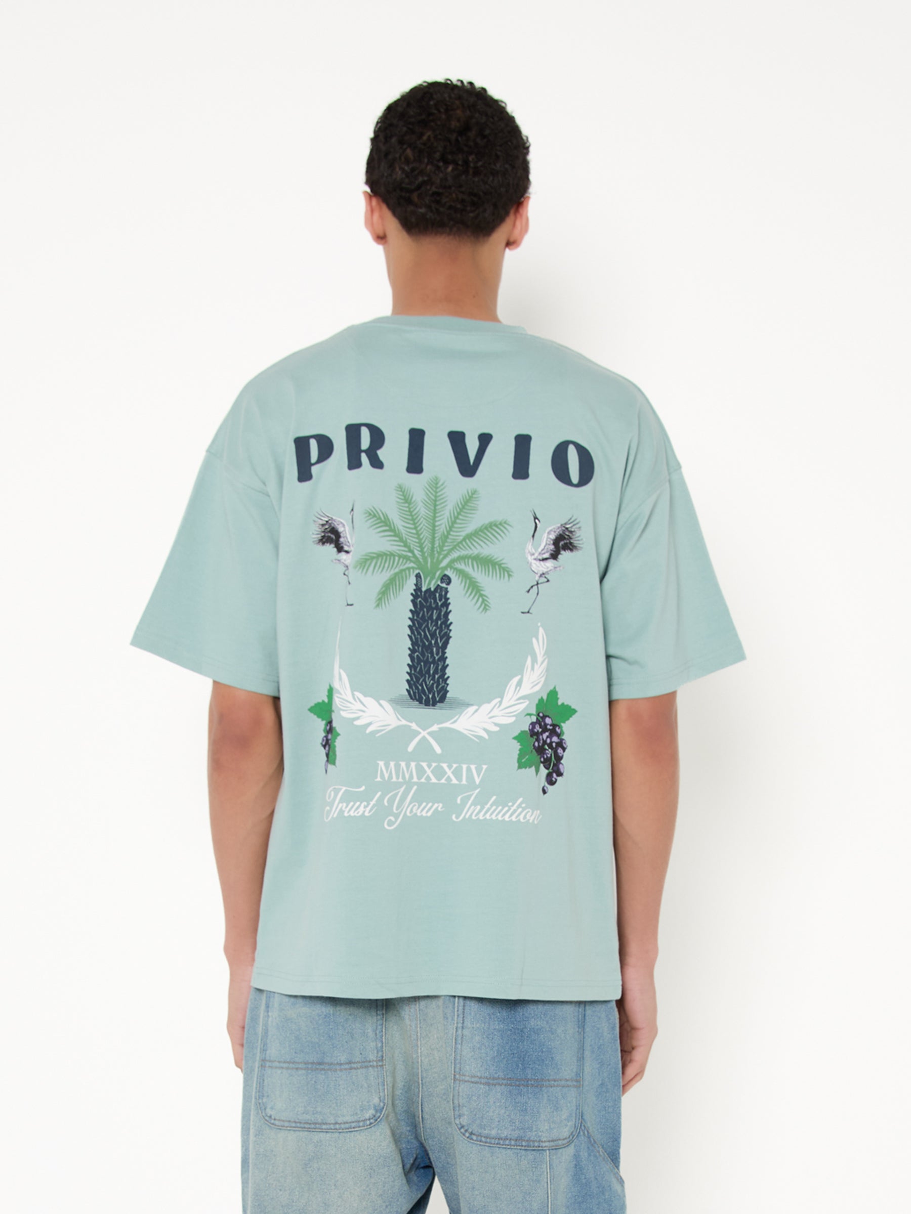 Relaxed Graphic Cotton T-Shirt - Dusty Mint