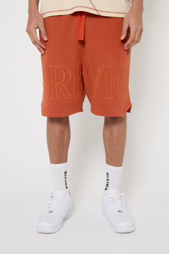 Cotton Washed Embroidered Drawstring Shorts - Orange