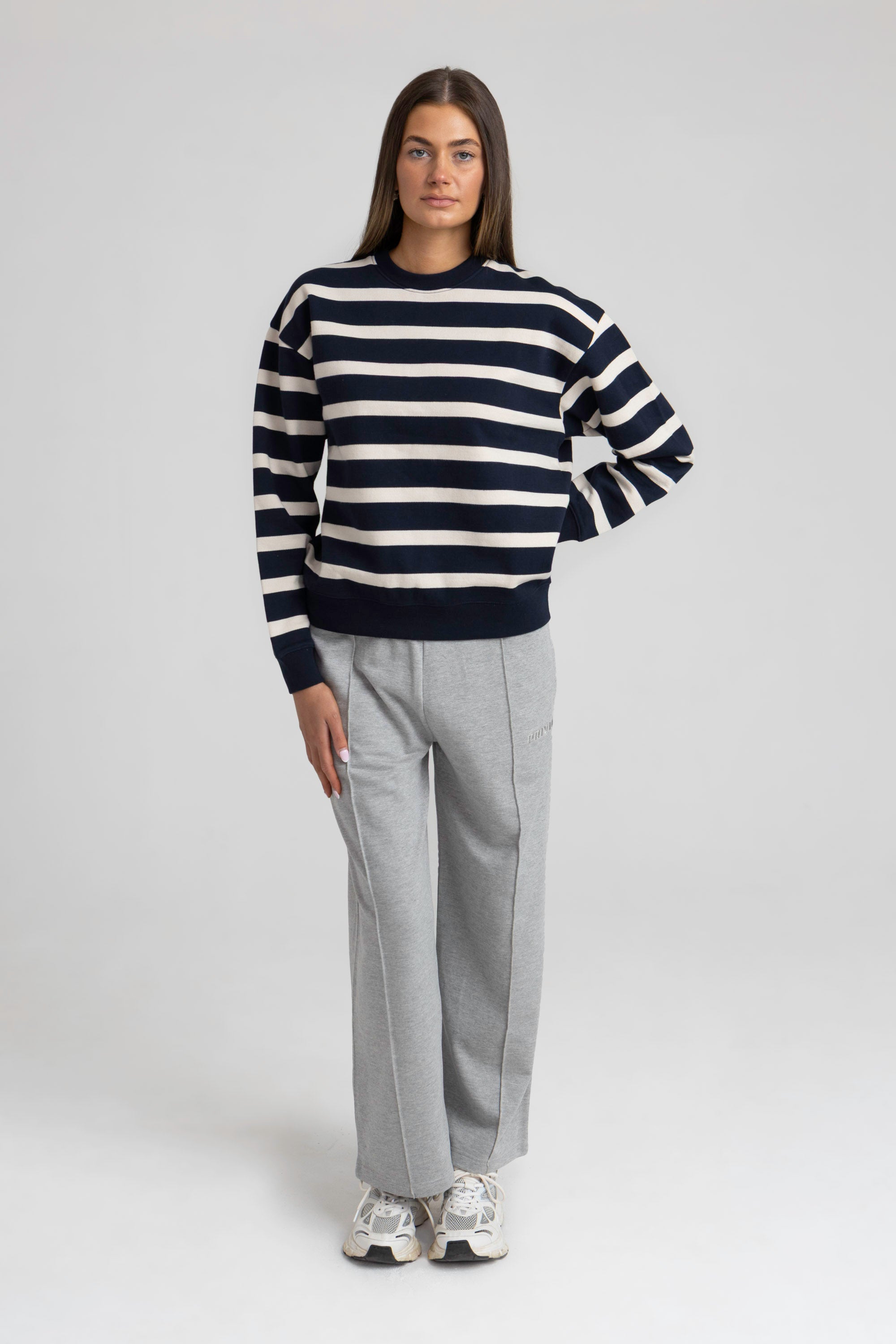 Washed Cotton Stripe Sweatshirt - Navy