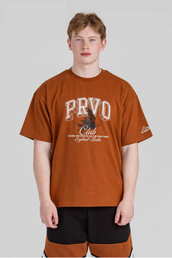 Relaxed Lightweight Graphic Cotton T-Shirt - Brown